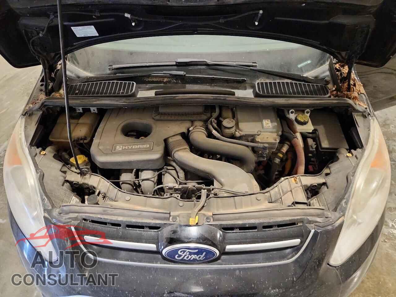 FORD CMAX 2016 - 1FADP5BU3GL102790