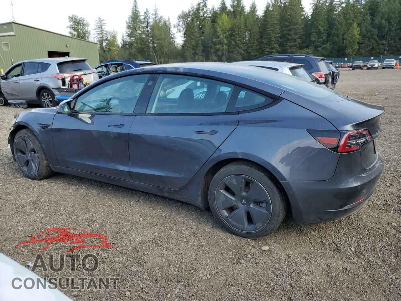 TESLA MODEL 3 2021 - 5YJ3E1EAXMF096913
