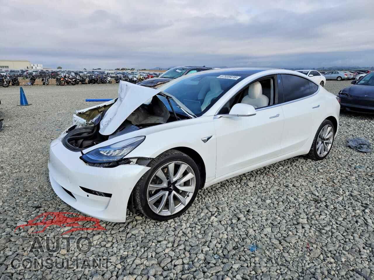 TESLA MODEL 3 2019 - 5YJ3E1EB2KF494820