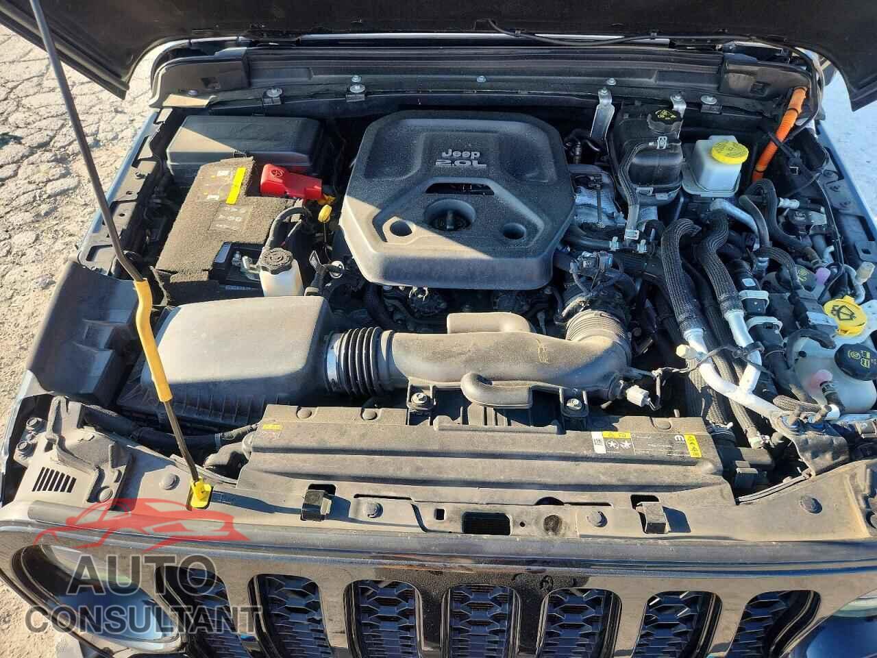 JEEP WRANGLER 2021 - 1C4JJXP6XMW698558