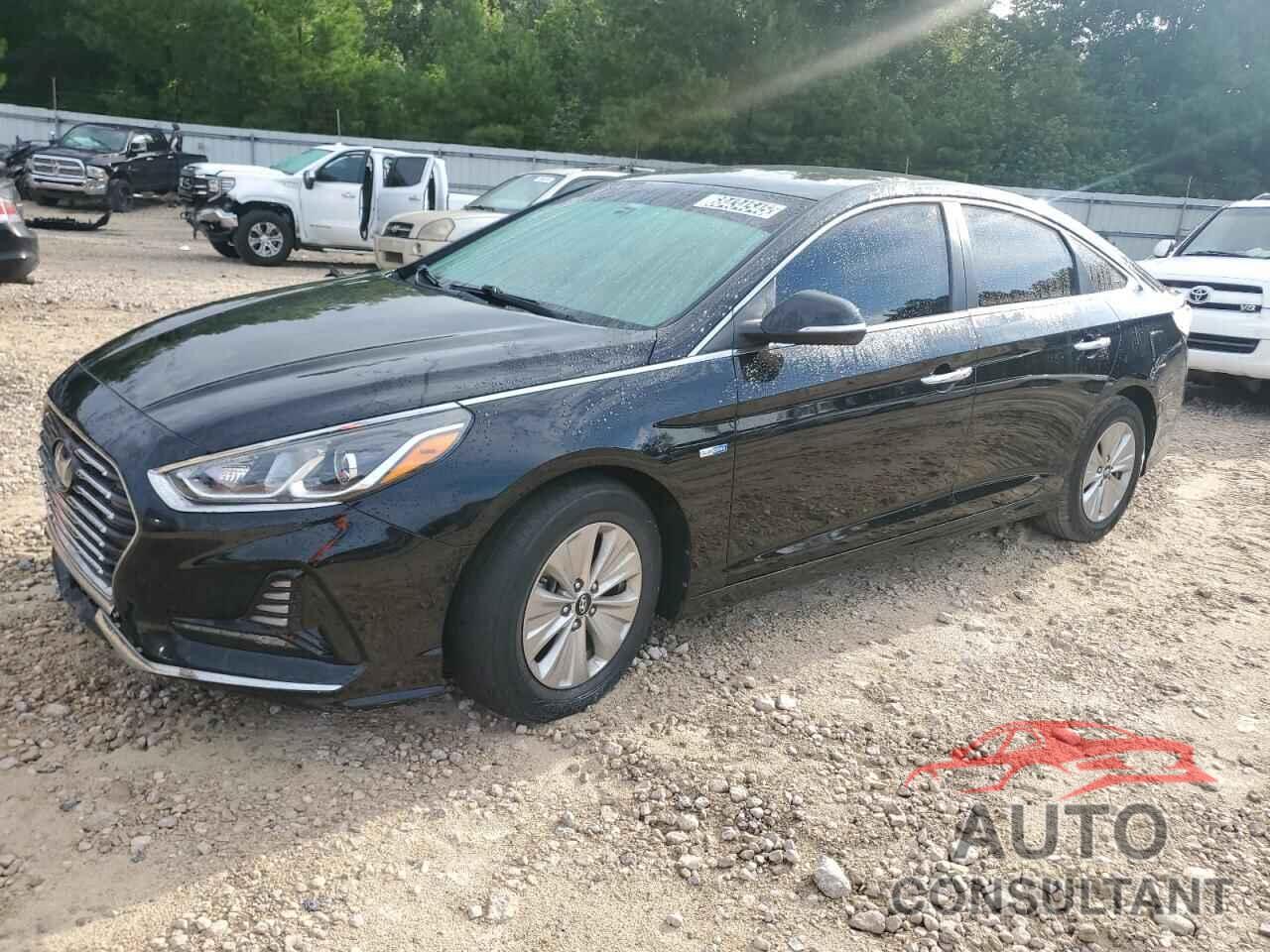 HYUNDAI SONATA 2019 - KMHE24L31KA088272