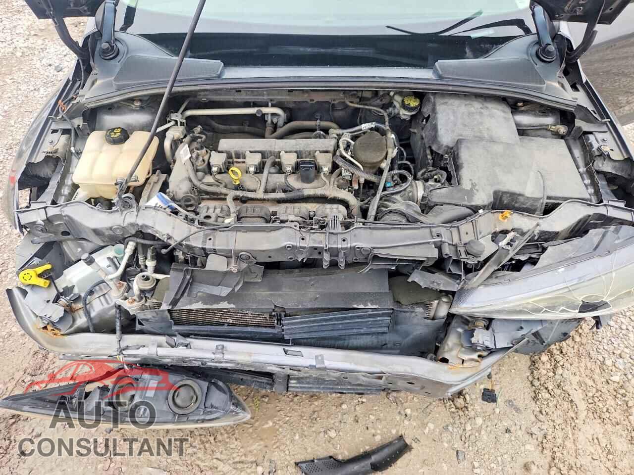 FORD FOCUS 2016 - 1FADP3F25GL202404