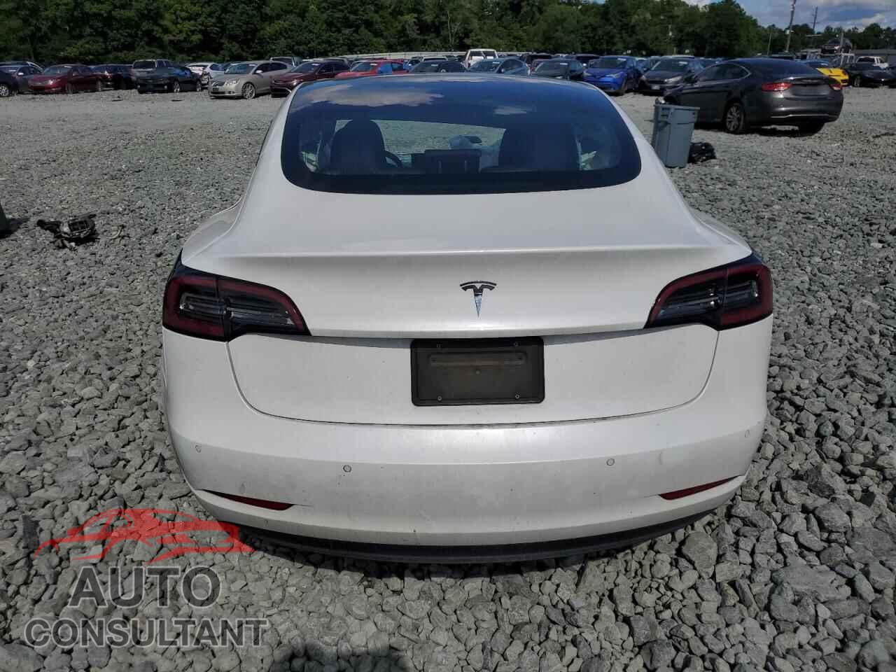 TESLA MODEL 3 2019 - 5YJ3E1EA7KF299819