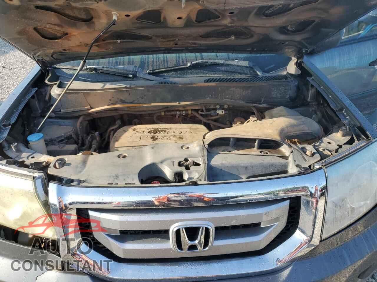 HONDA PILOT 2011 - 5FNYF3H2XBB054869