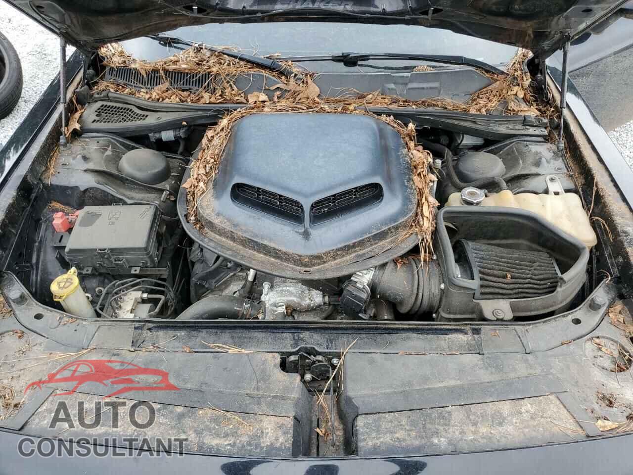 DODGE CHALLENGER 2016 - 2C3CDZFJ5GH255176