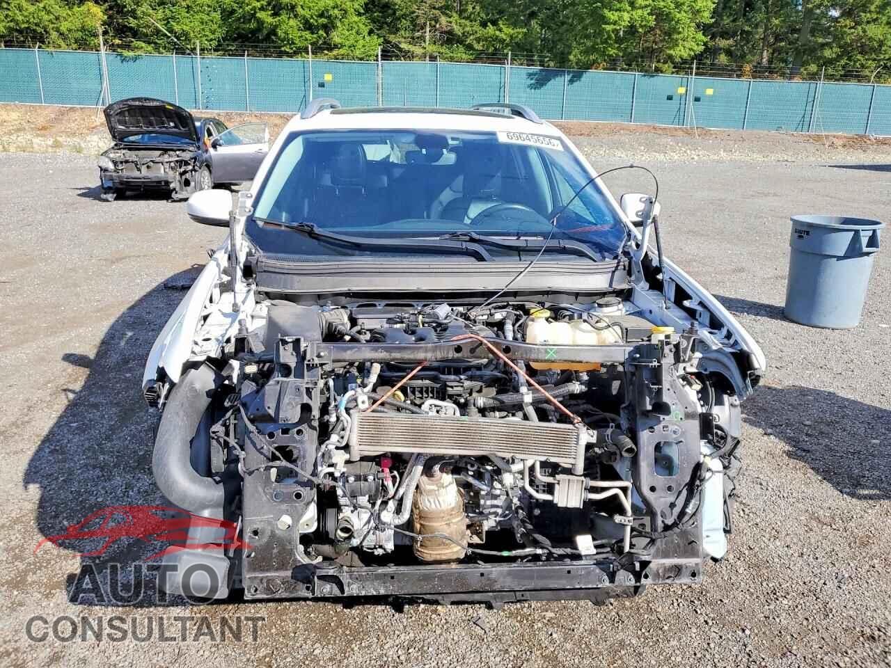 JEEP CHEROKEE 2019 - 1C4PJMLX4KD306741