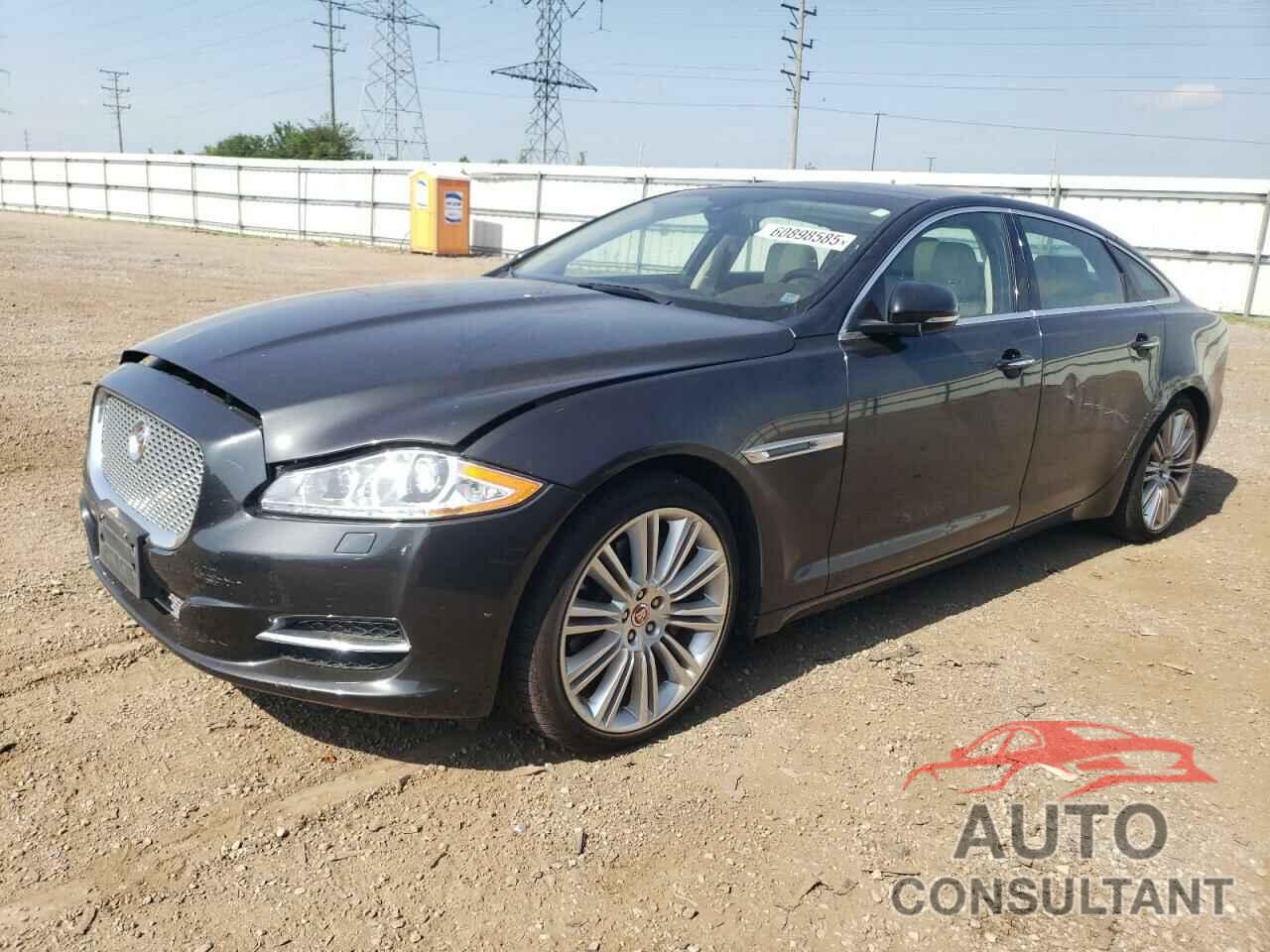 JAGUAR XJ 2015 - SAJWJ2GD4F8V83521