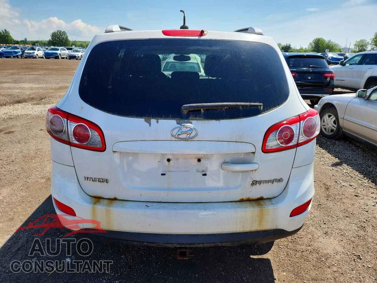 HYUNDAI SANTA FE 2010 - 5NMSG3AB7AH363080