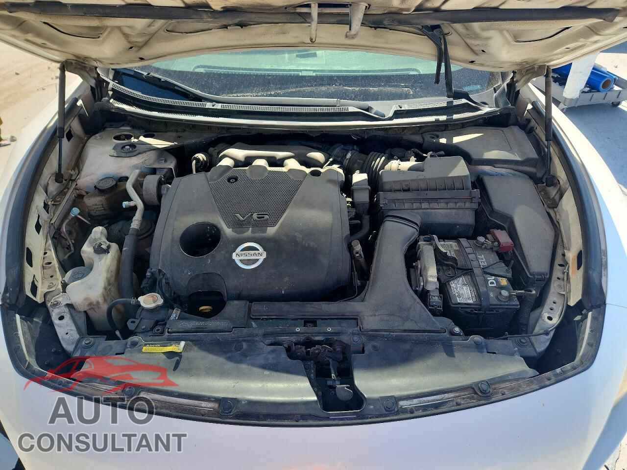 NISSAN MAXIMA 2009 - 1N4AA51E89C804802