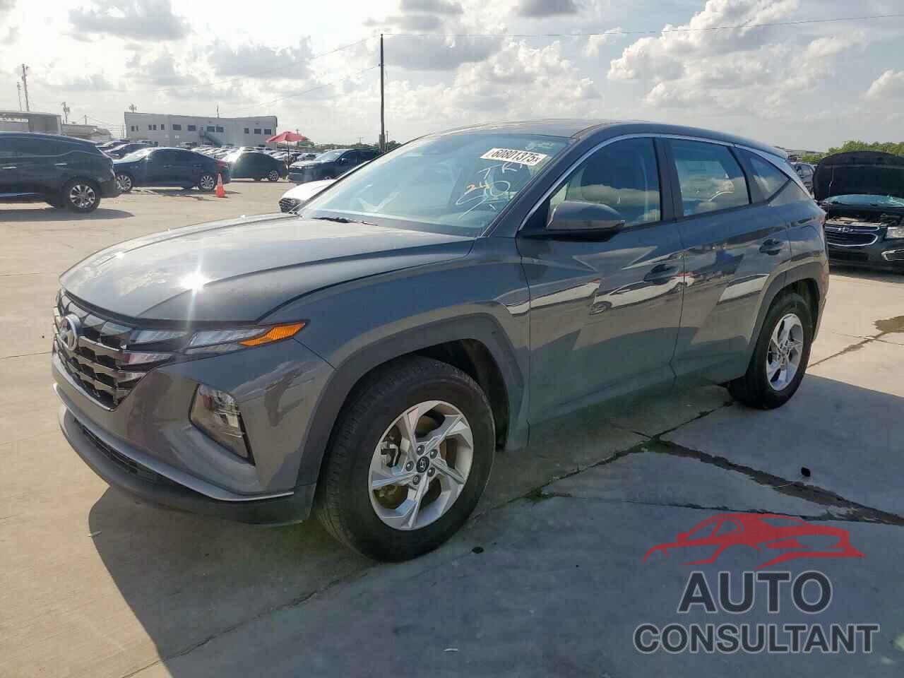 HYUNDAI TUCSON 2024 - 5NMJA3DE1RH375370