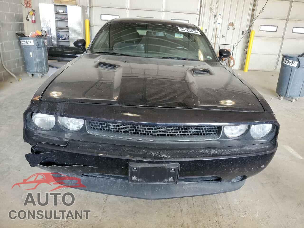 DODGE CHALLENGER 2012 - 2C3CDYAG2CH226217