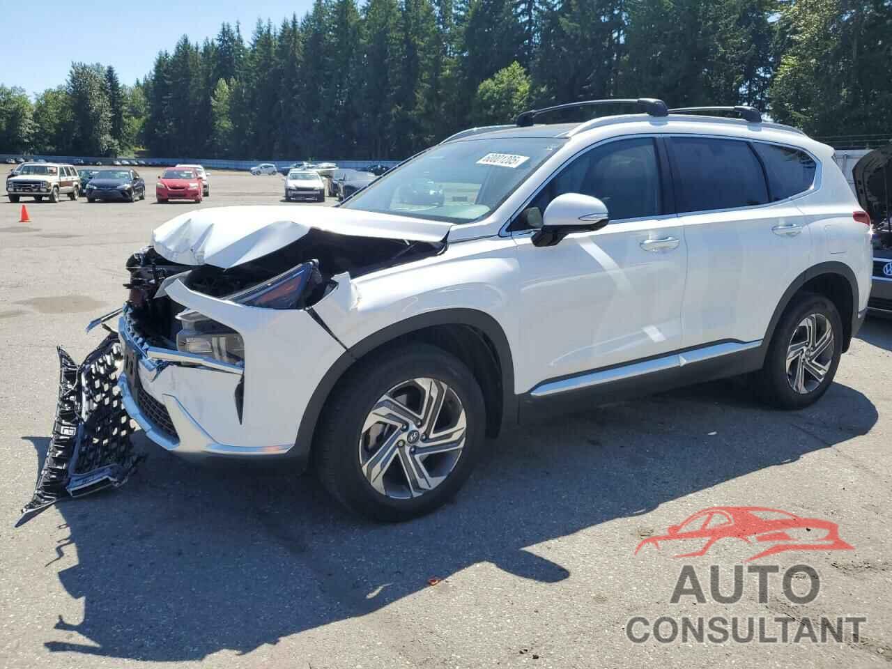 HYUNDAI SANTA FE 2023 - 5NMS3DAJXPH574680
