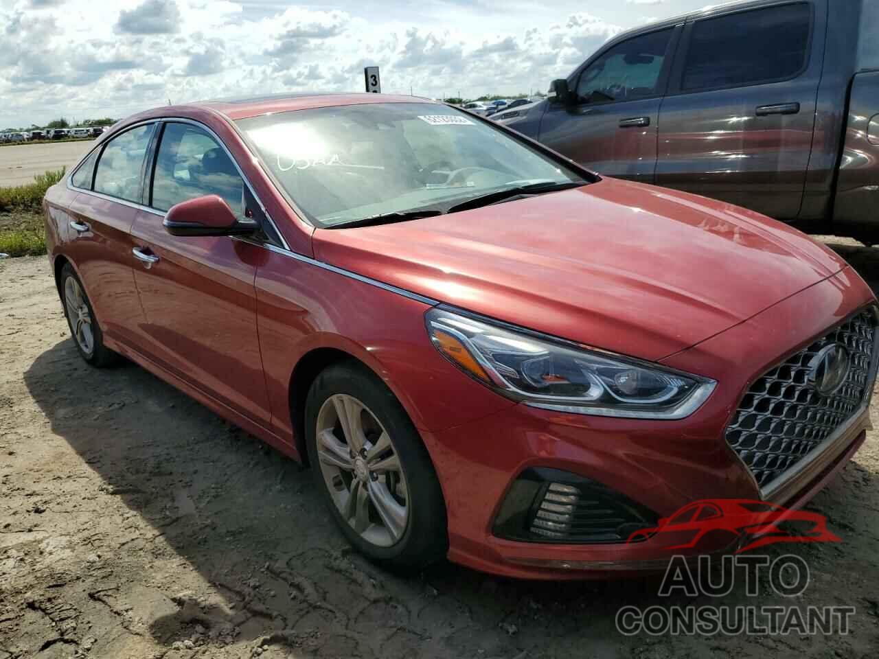 HYUNDAI SONATA 2019 - 5NPE34AF5KH793552