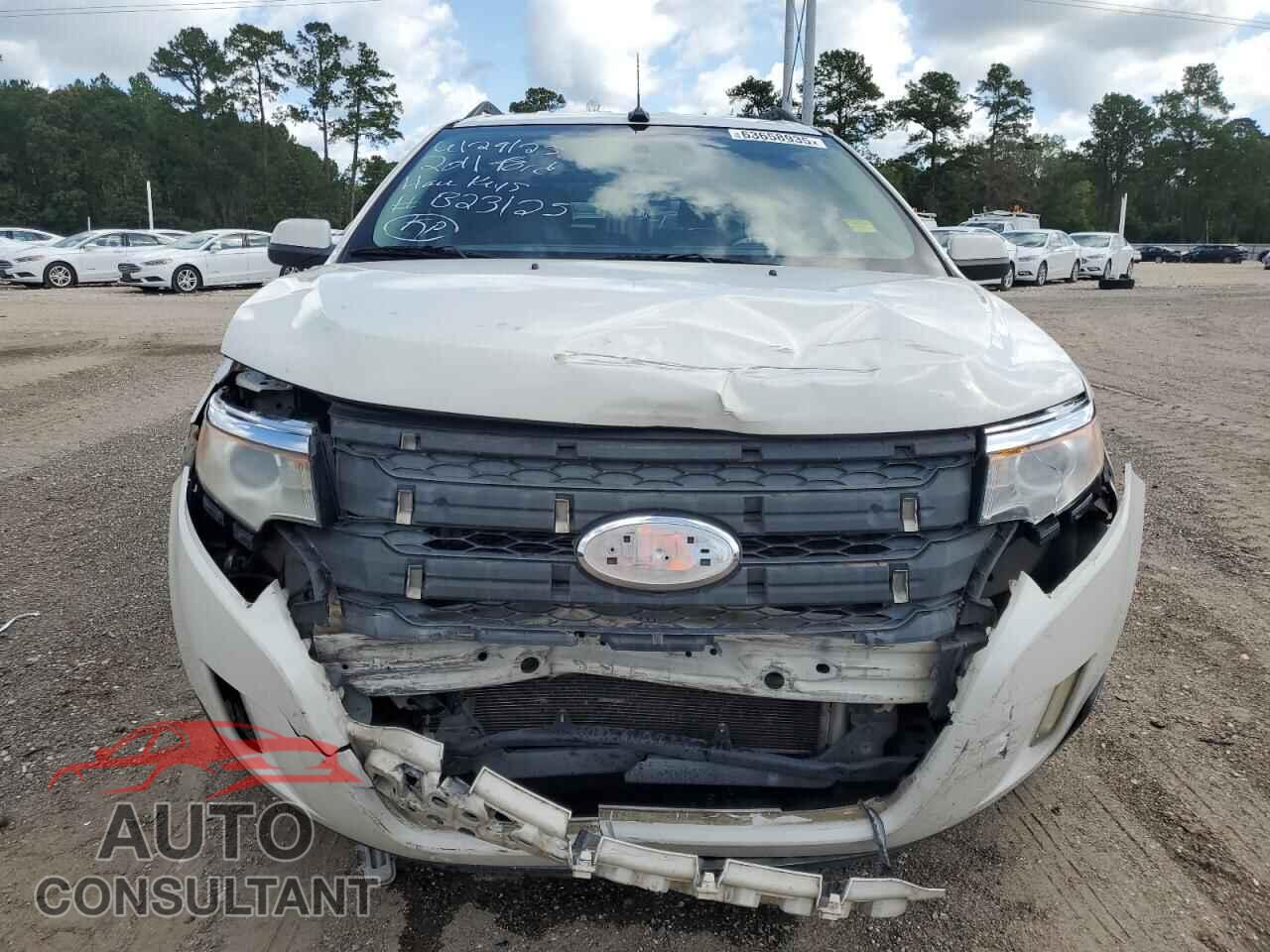FORD EDGE 2011 - 2FMDK3JC4BBB23125