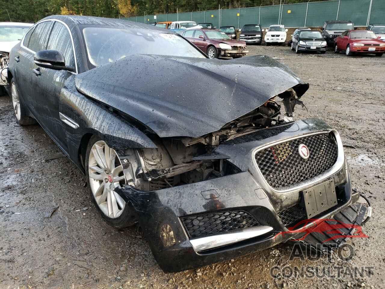 JAGUAR XF 2016 - SAJBK4BV5GCY16182