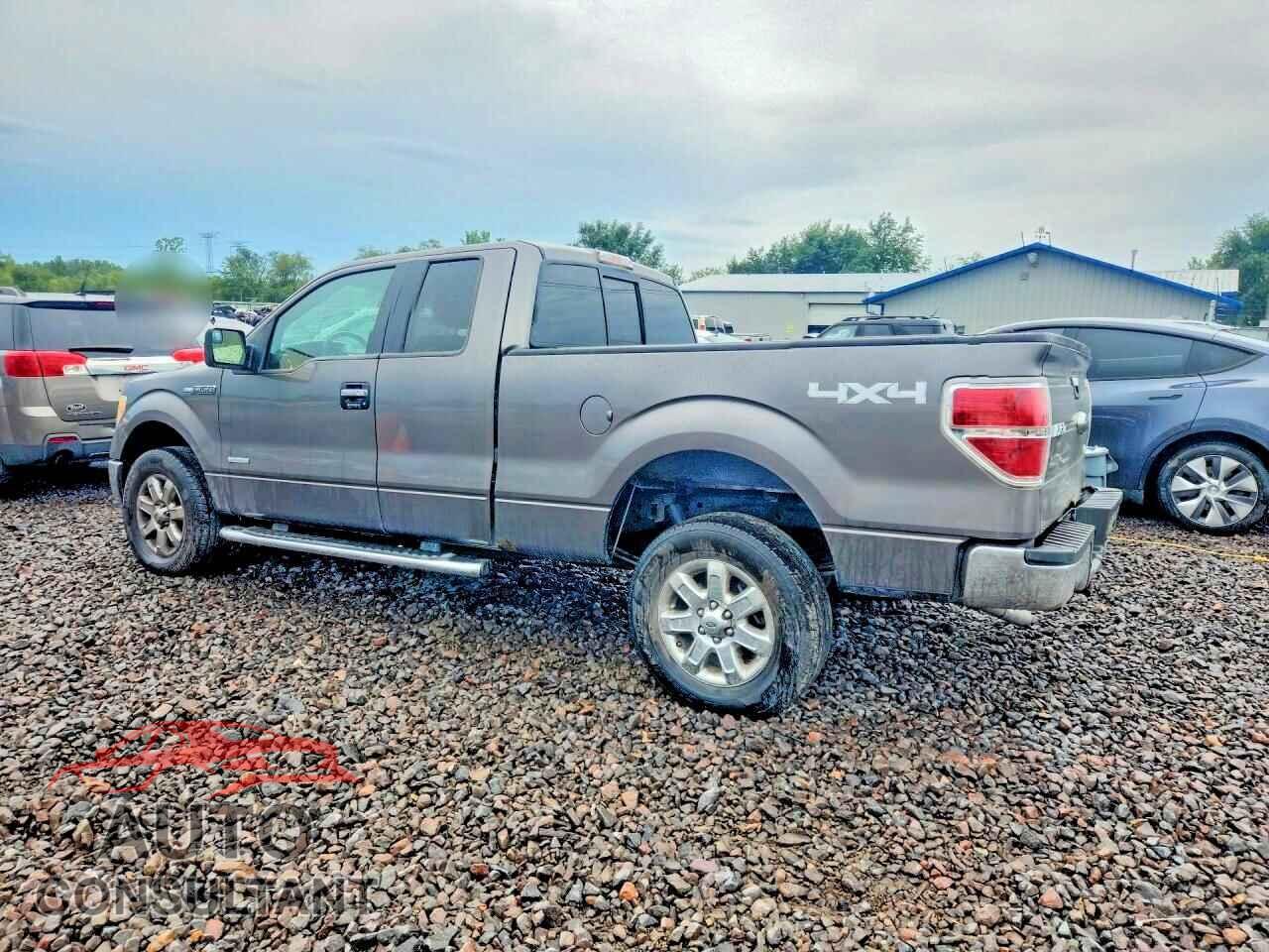 FORD F150 2013 - 1FTFX1ET9DFD96334