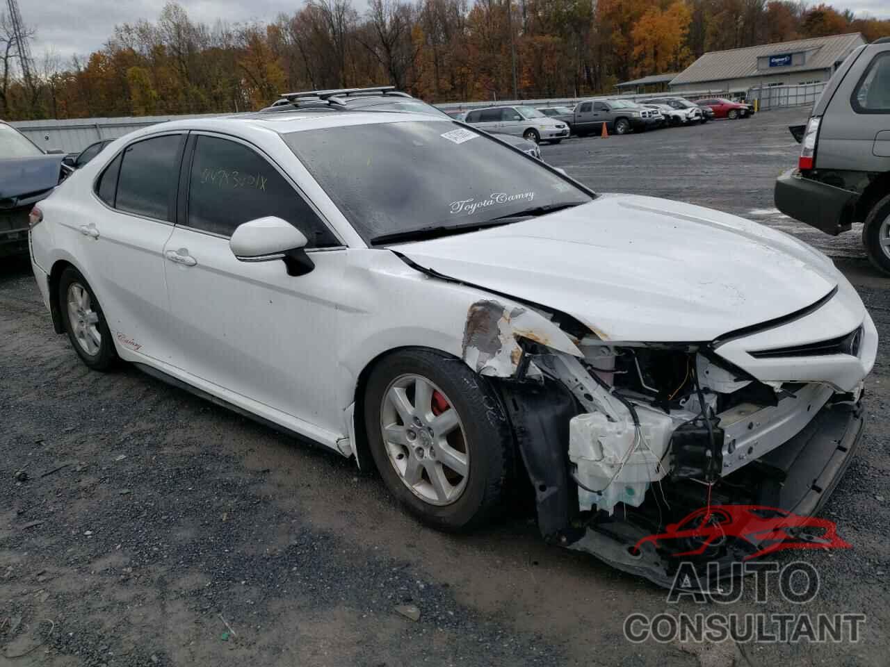 TOYOTA CAMRY 2019 - 4T1B11HK0KU808552