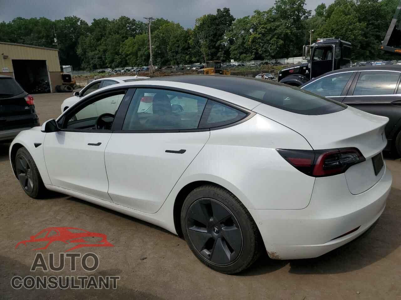 TESLA MODEL 3 2021 - 5YJ3E1EAXMF053267