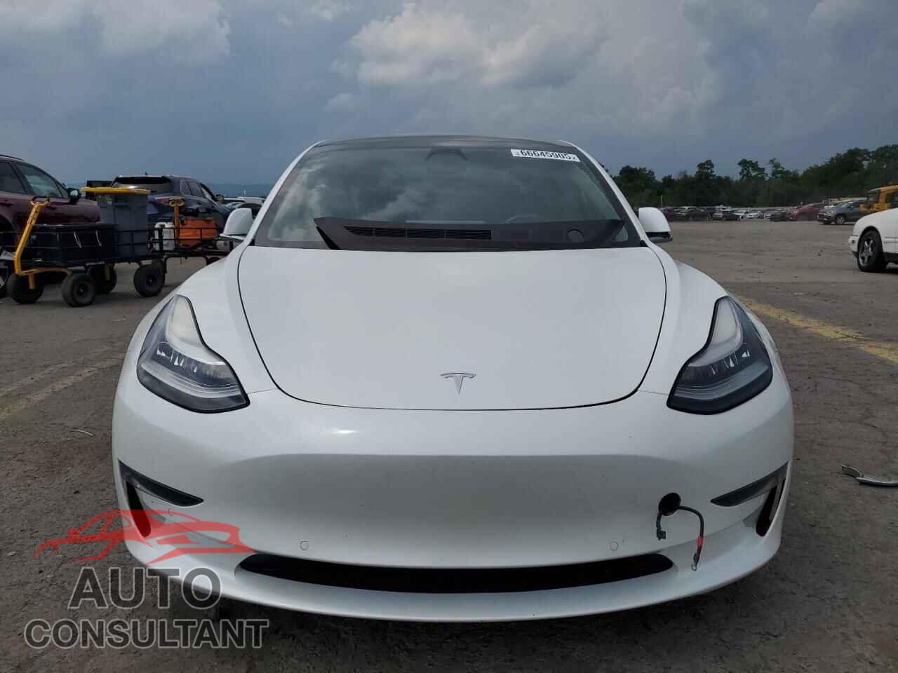 TESLA MODEL 3 2019 - 5YJ3E1EA2KF397009