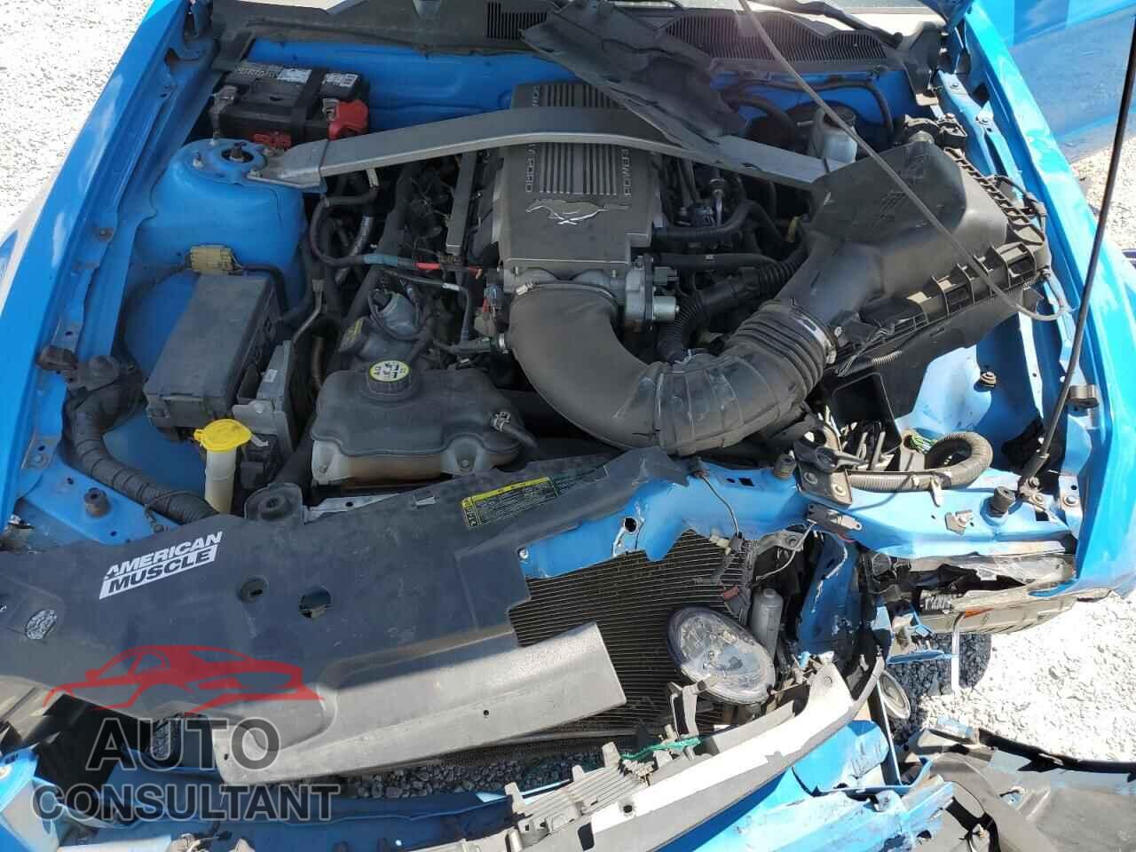 FORD MUSTANG 2010 - 1ZVBP8CH7A5100697