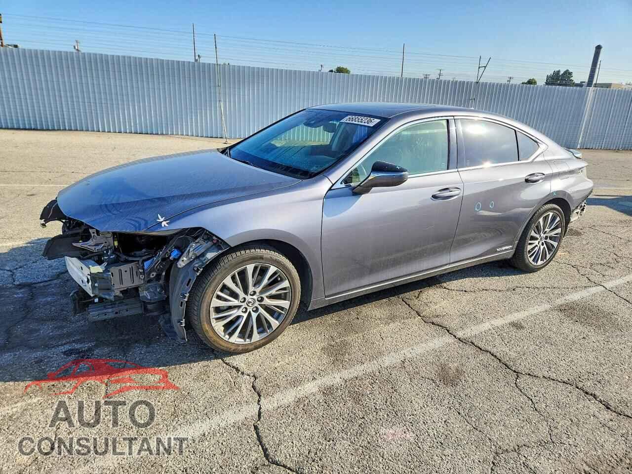 LEXUS ES300 2019 - JTHB21B18K2004995