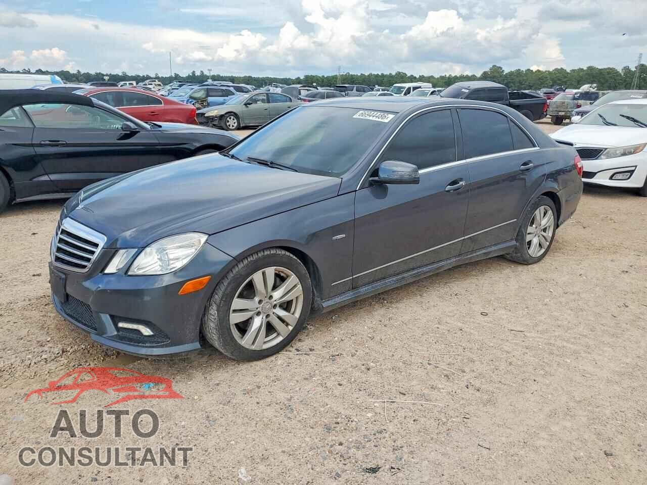 MERCEDES-BENZ E-CLASS 2011 - WDDHF2EB4BA465357