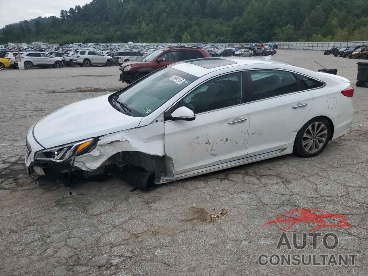 HYUNDAI SONATA 2017 - 5NPE34AF6HH532598