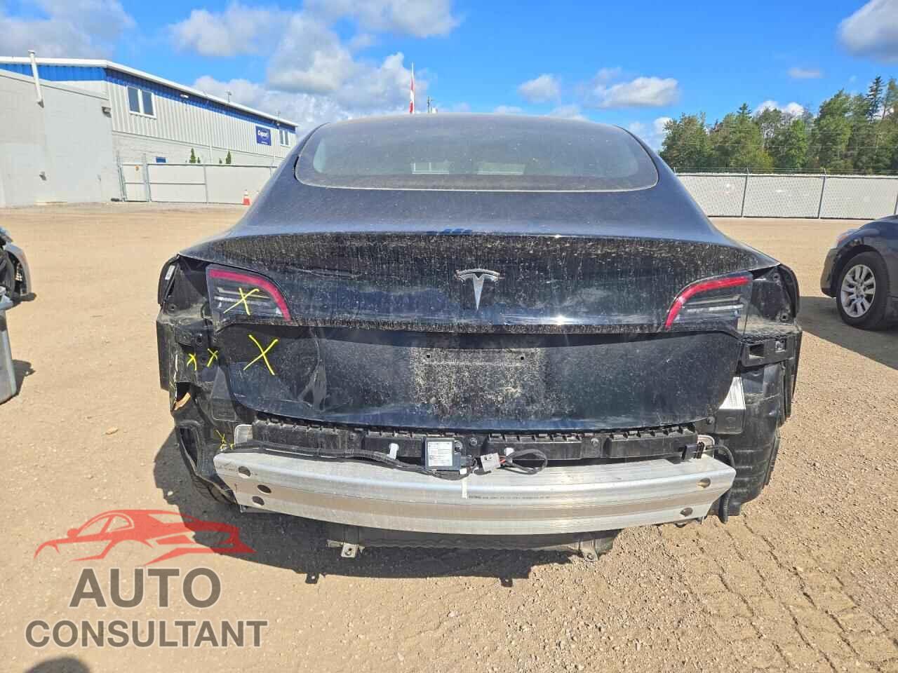 TESLA MODEL 3 2021 - 5YJ3E1EA1MF973031