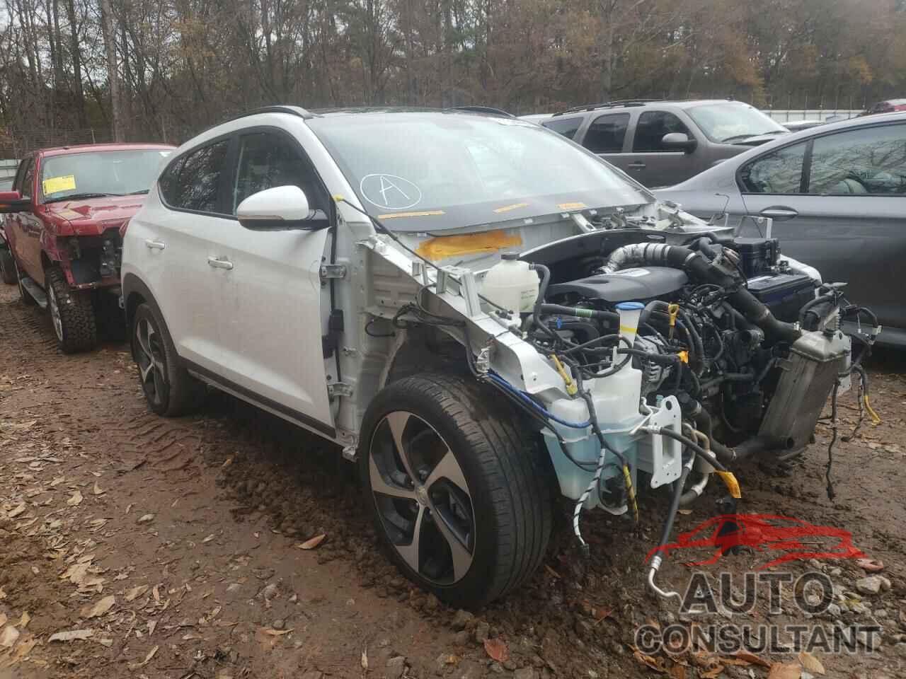 HYUNDAI TUCSON 2018 - KM8J33A22JU728986