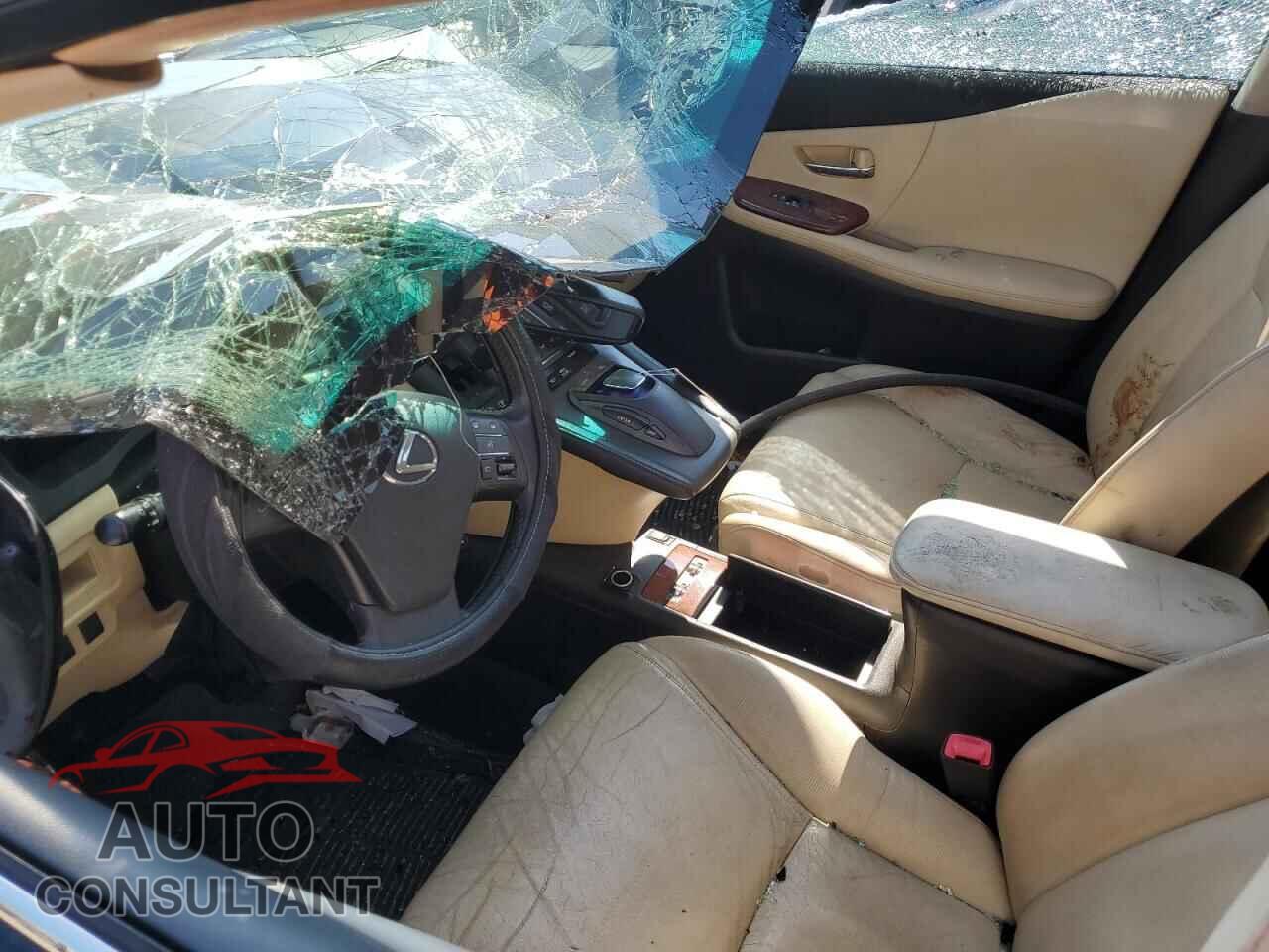 LEXUS HS 2010 - JTHBB1BA3A2007463