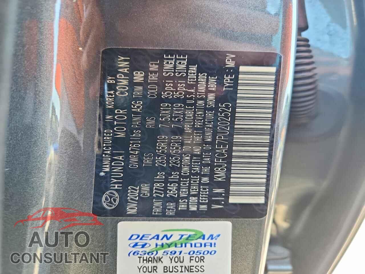 HYUNDAI TUCSON 2023 - KM8JFCAE7PU202525