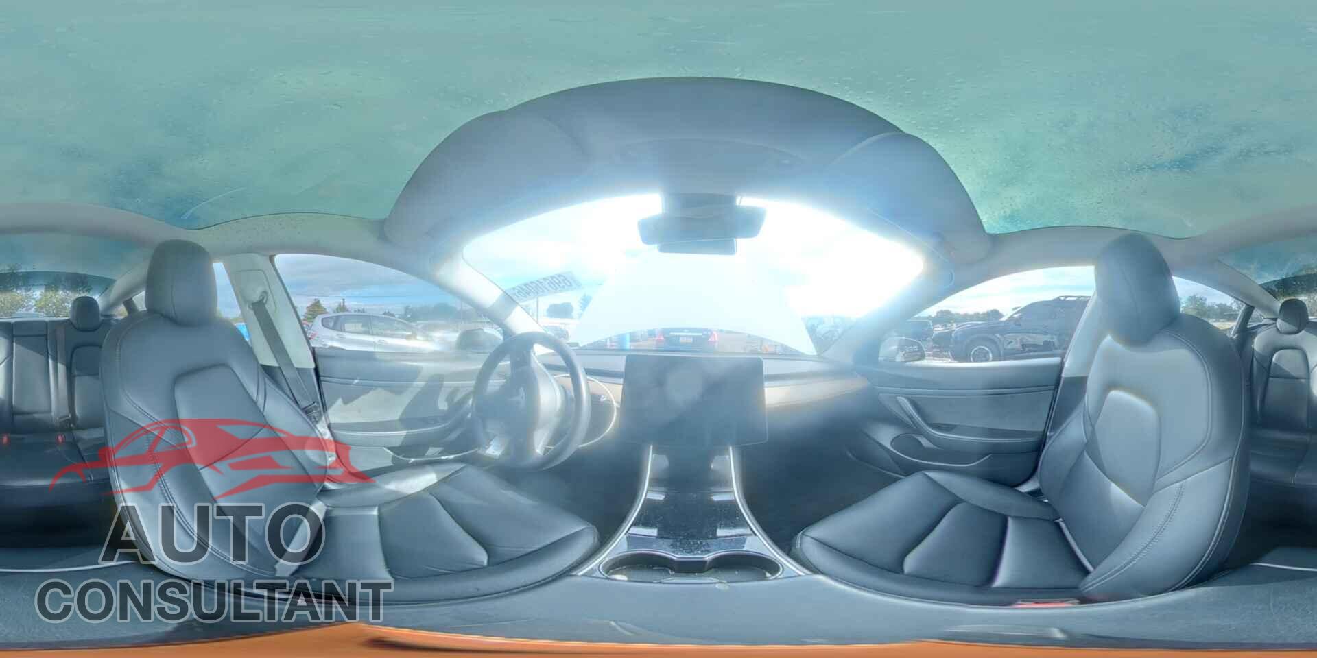 TESLA MODEL 3 2020 - 5YJ3E1EA3LF799882