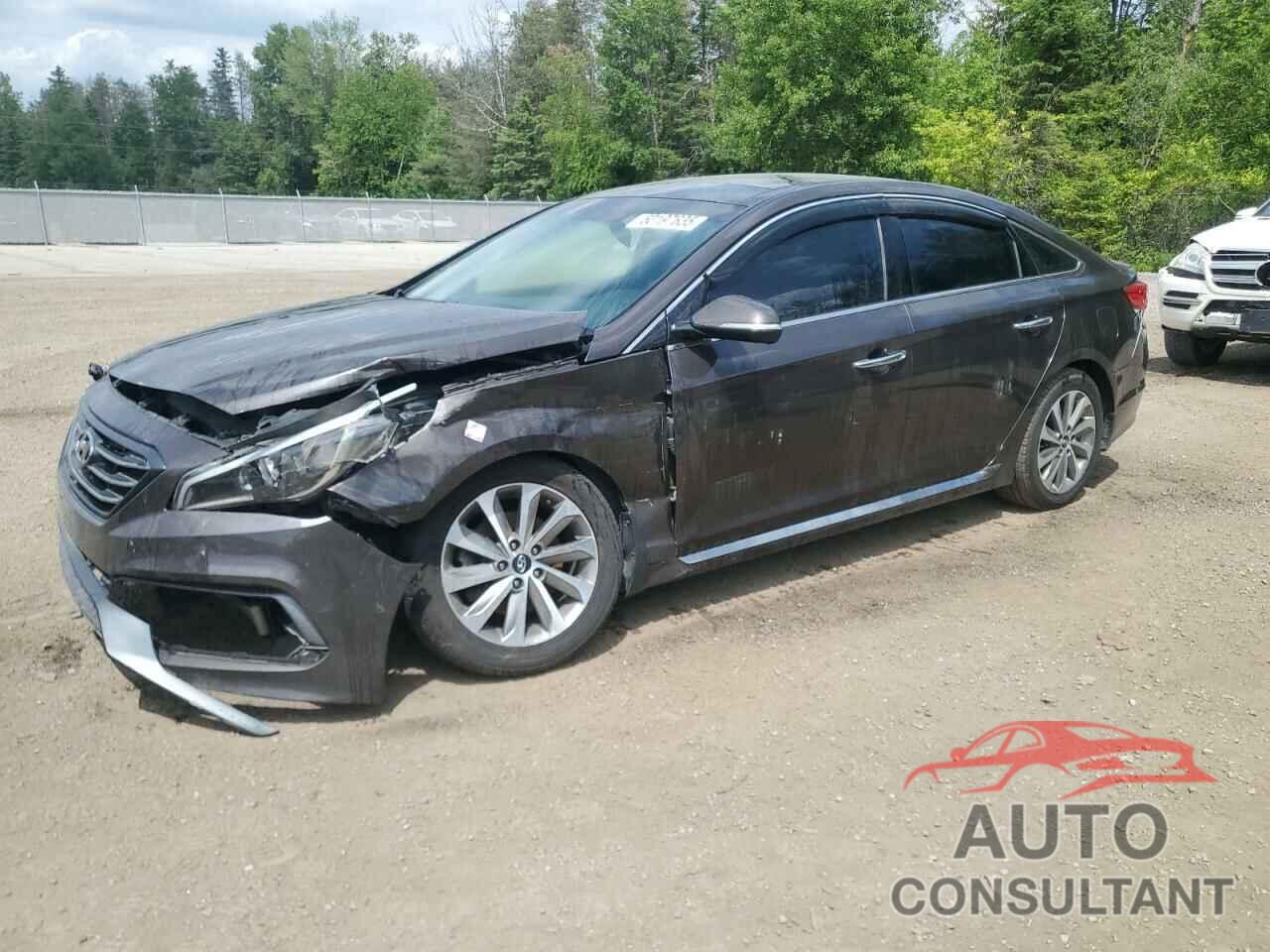 HYUNDAI SONATA 2016 - 5NPE34AF6GH416249