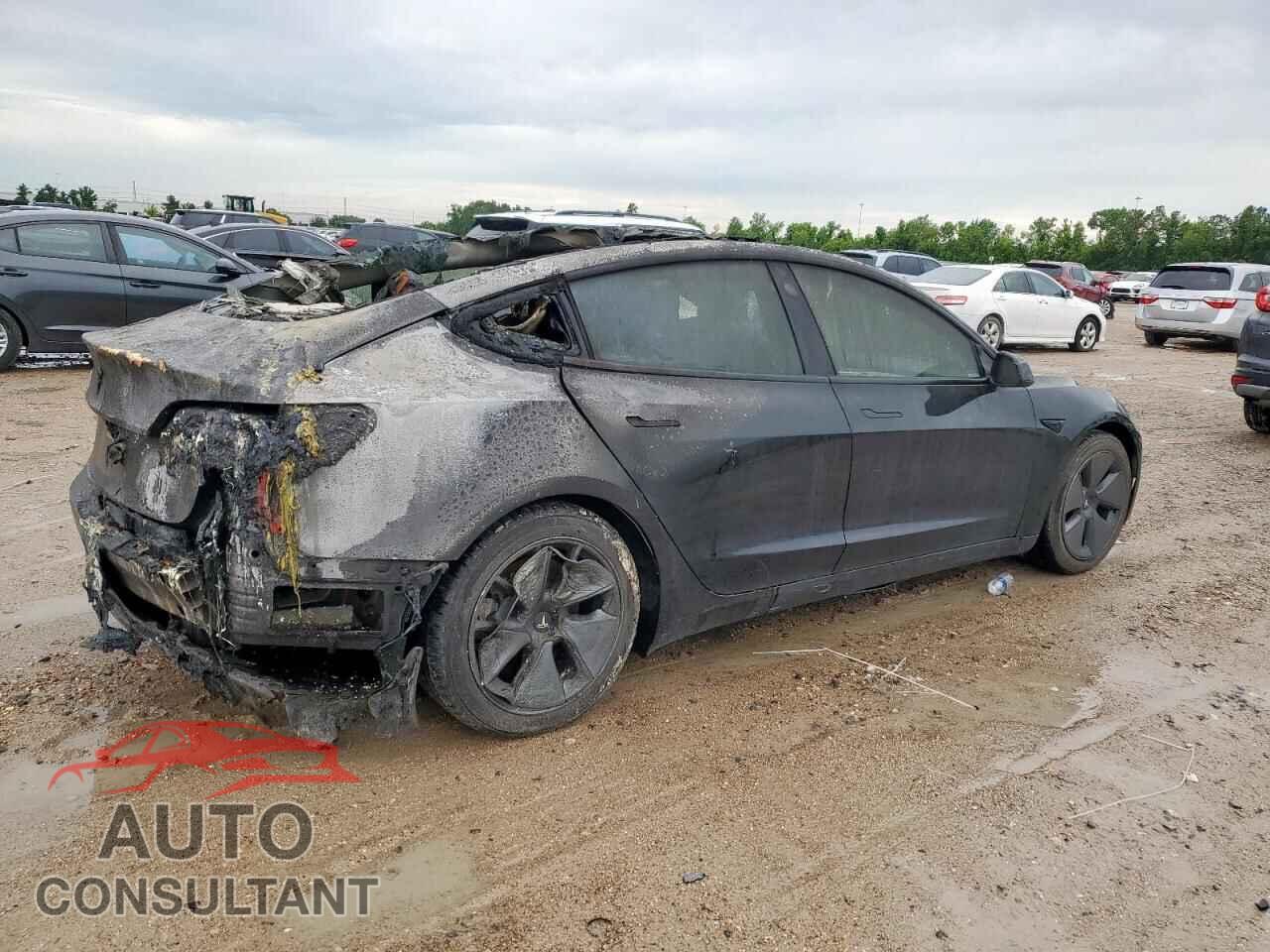 TESLA MODEL 3 2021 - 5YJ3E1EA1MF911628