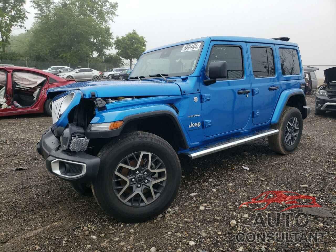 JEEP WRANGLER 2024 - 1C4PJXEG9RW229393