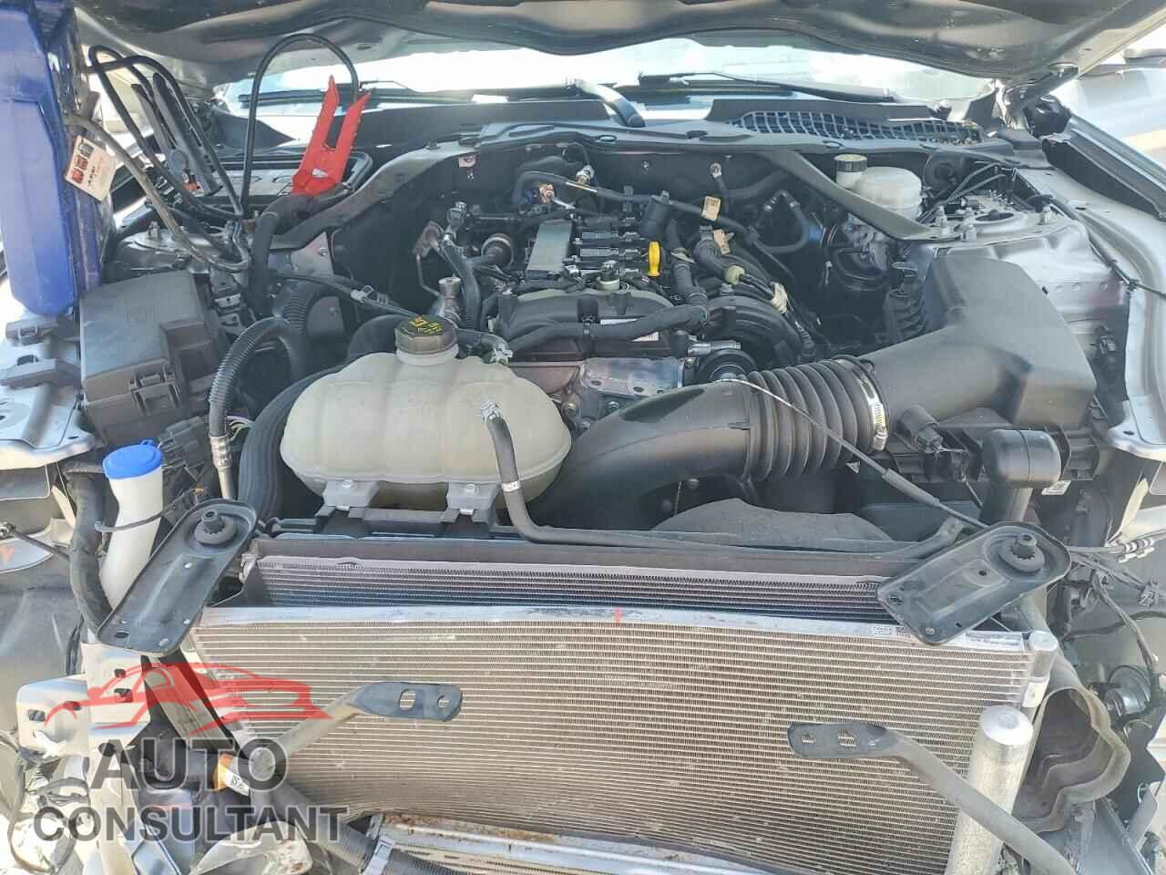 FORD MUSTANG 2021 - 1FATP8UH9M5111815