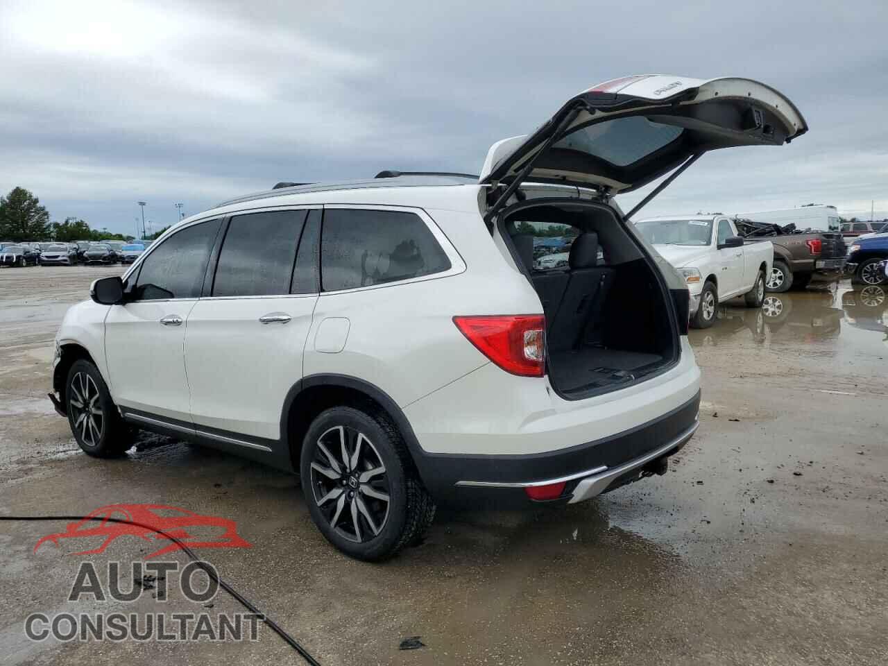 HONDA PILOT 2019 - 5FNYF6H69KB027473
