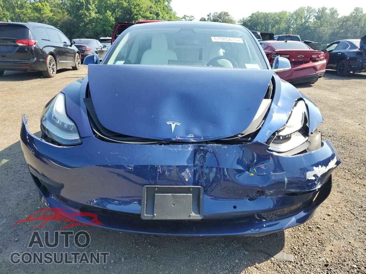TESLA MODEL 3 2019 - 5YJ3E1EA4KF509731