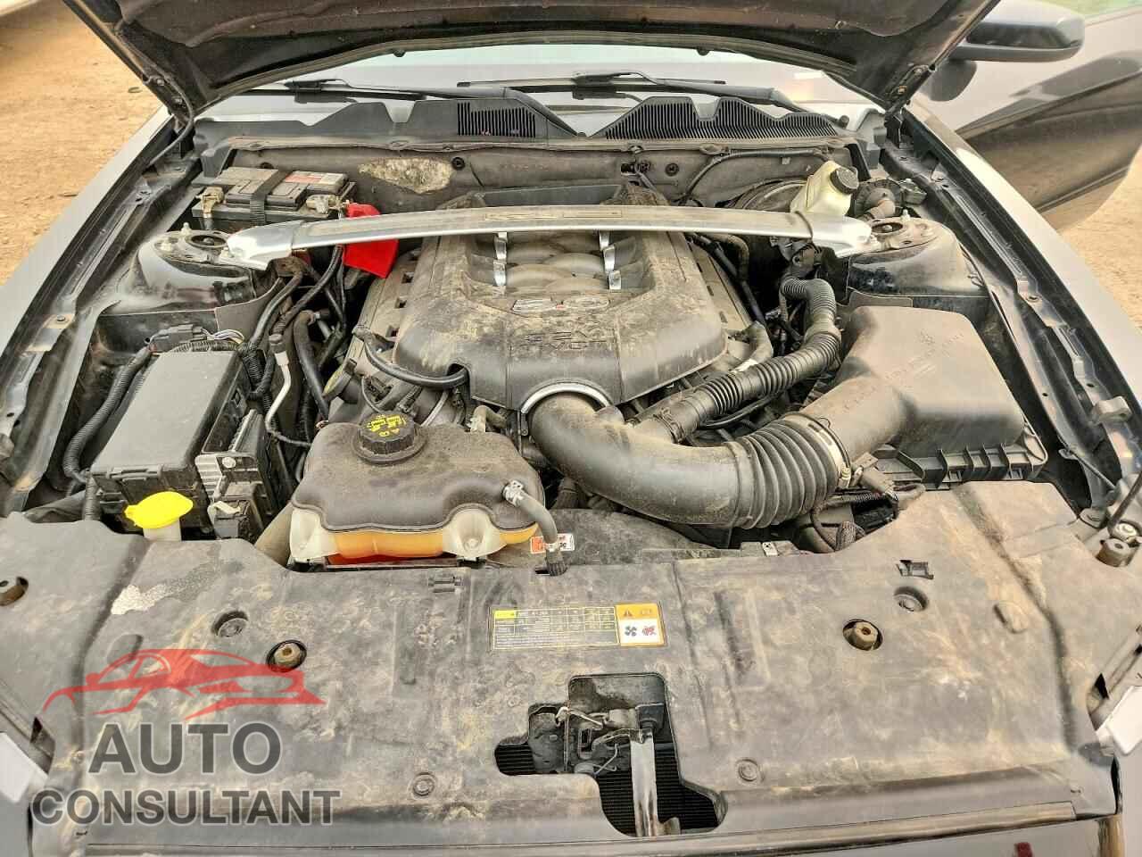 FORD MUSTANG 2014 - 1ZVBP8CF7E5269879