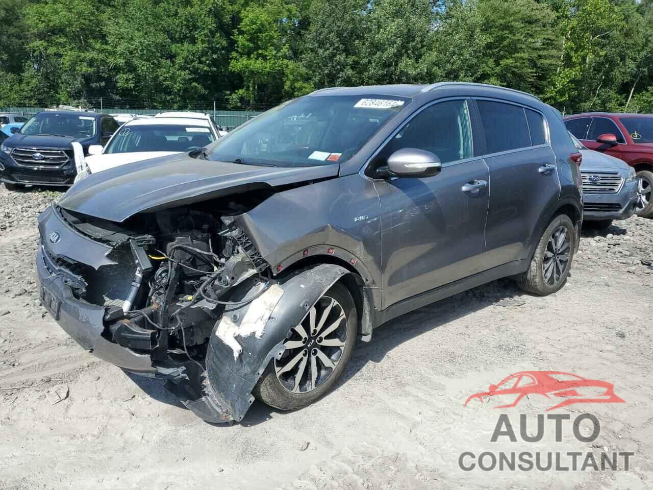 KIA SPORTAGE 2019 - KNDPNCAC2K7518521