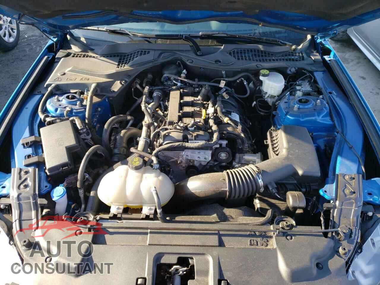 FORD MUSTANG 2021 - 1FA6P8THXM5154591