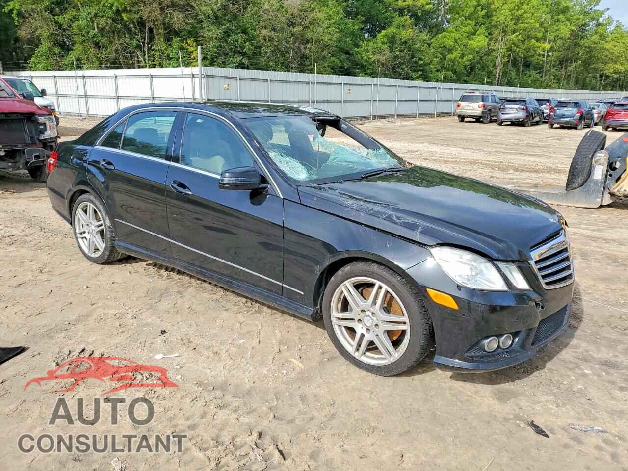 MERCEDES-BENZ E-CLASS 2010 - WDDHF5GB1AA190642
