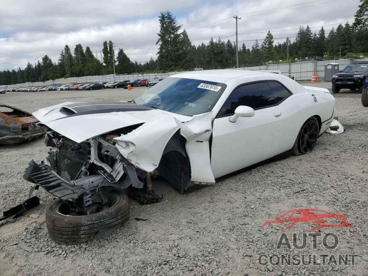 DODGE CHALLENGER 2019 - 2C3CDZBT3KH556965