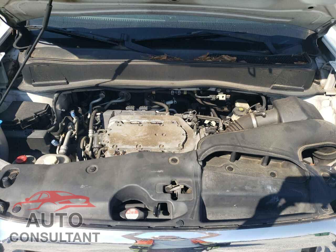 HONDA PILOT 2009 - 5FNYF38519B011235