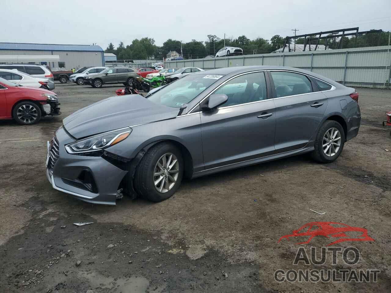 HYUNDAI SONATA 2019 - 5NPE24AF0KH745864