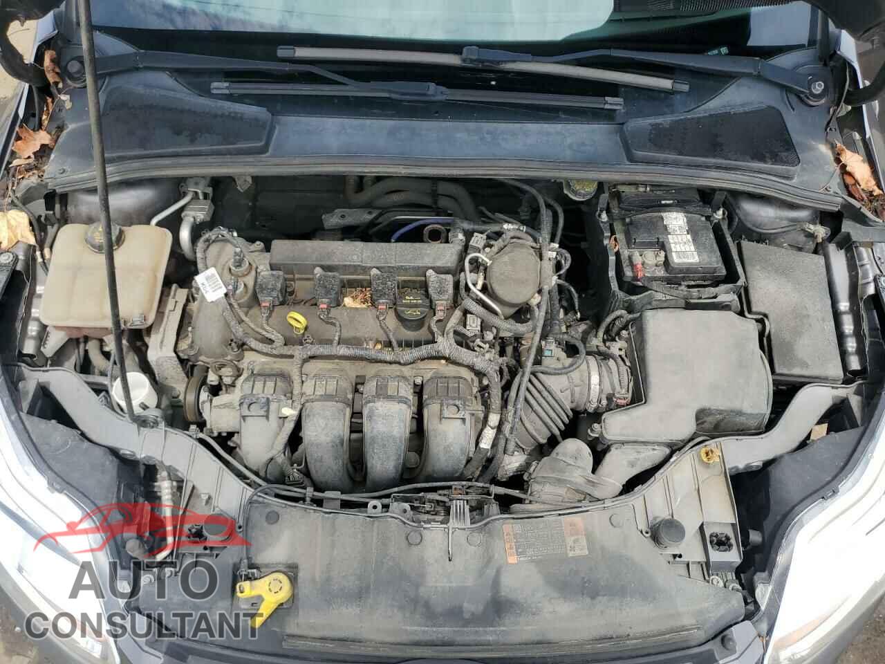 FORD FOCUS 2014 - 1FADP3K25EL357358