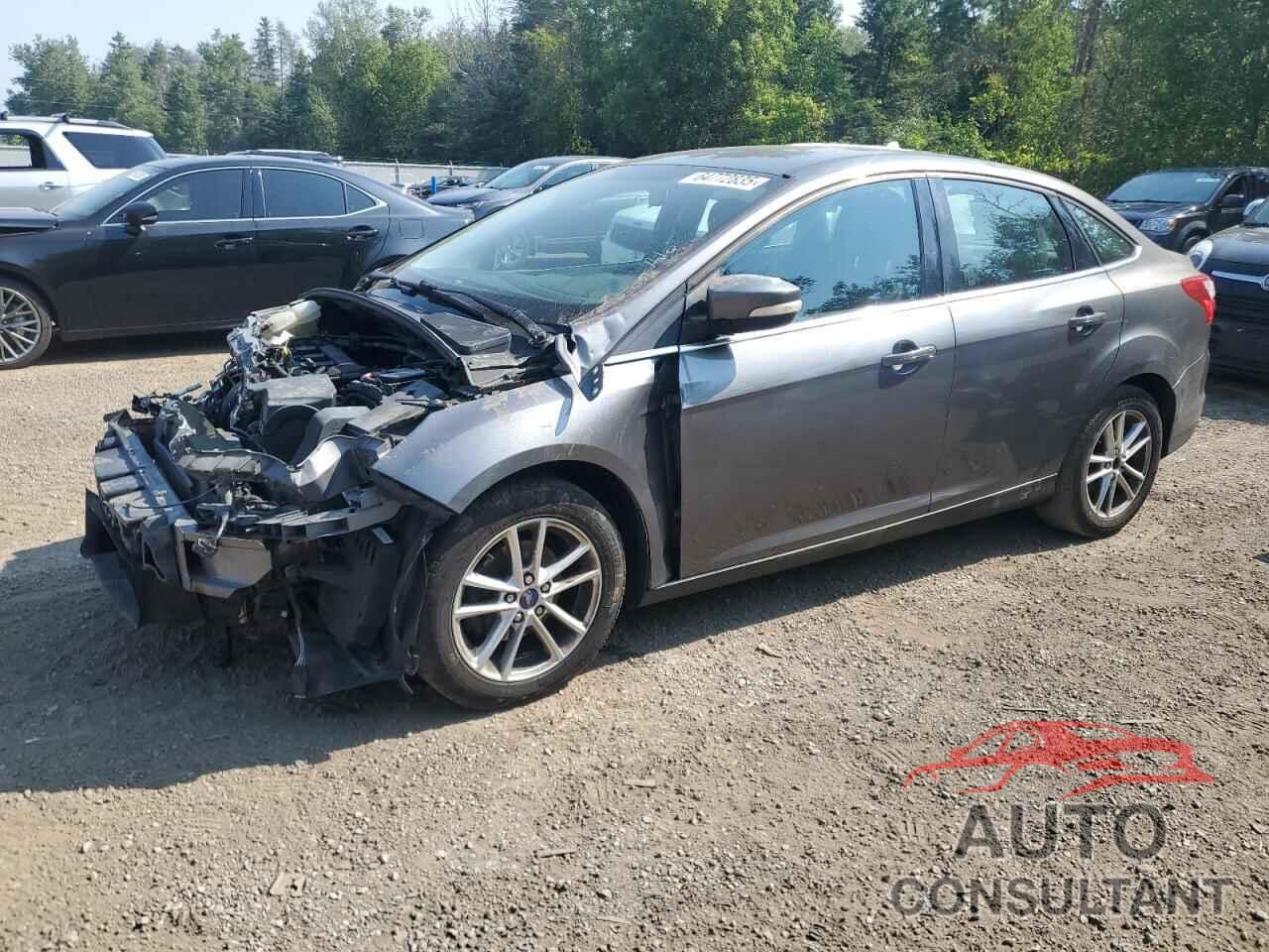FORD FOCUS 2012 - 1FAHP3H2XCL438572