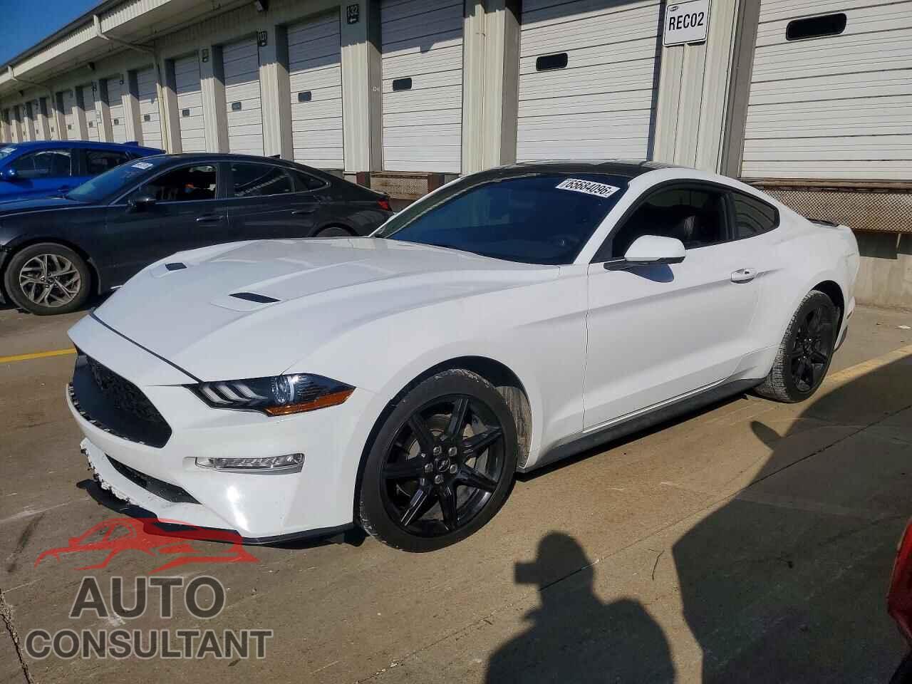 FORD MUSTANG 2019 - 1FA6P8TH7K5123232