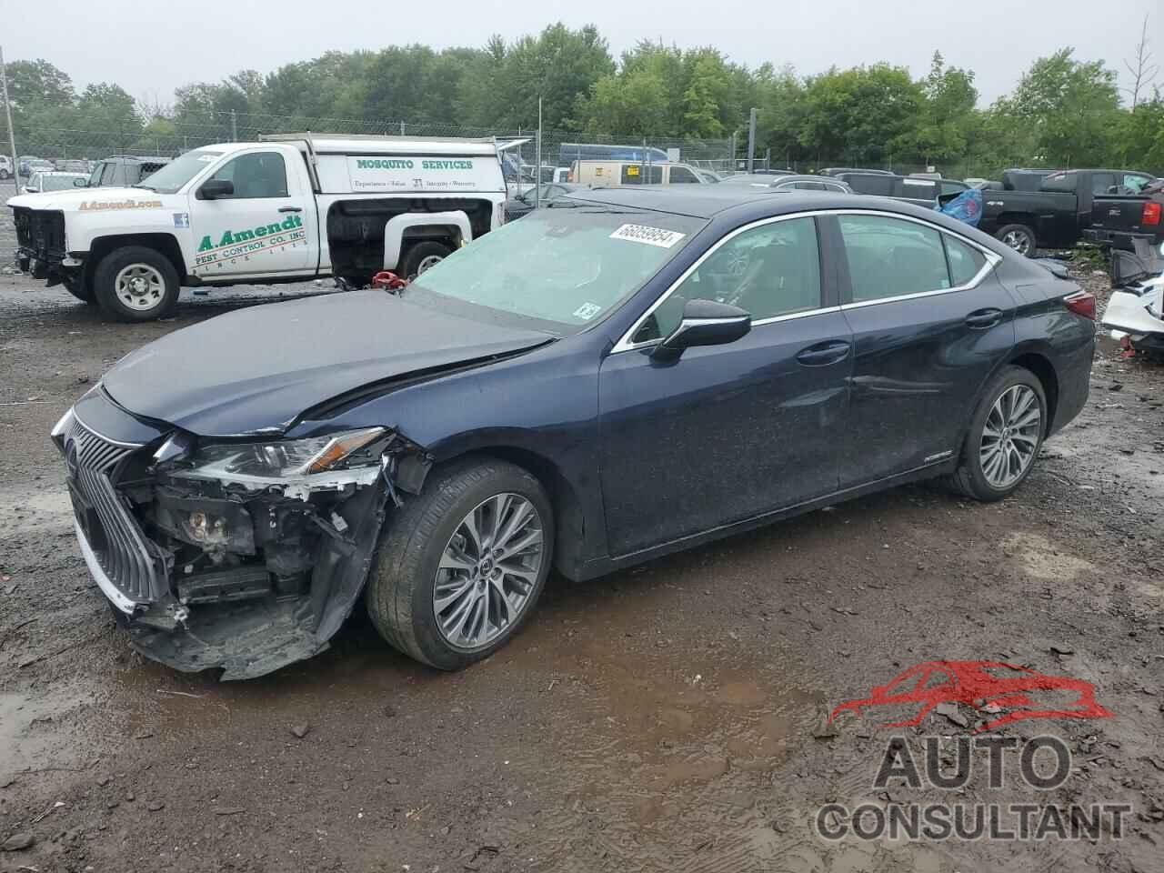 LEXUS ES300 2020 - 58AD21B15LU009639