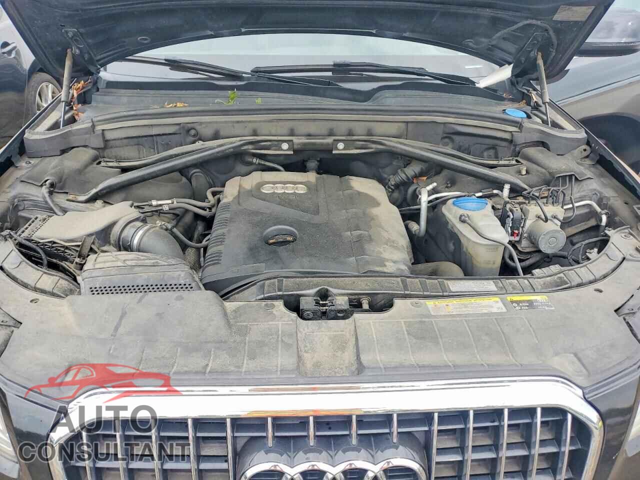 AUDI Q5 2013 - WA1CFAFP4DA026097